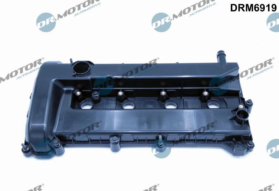 Dr.Motor Automotive DRM6919 - Крышка головки цилиндра abcparts.ee