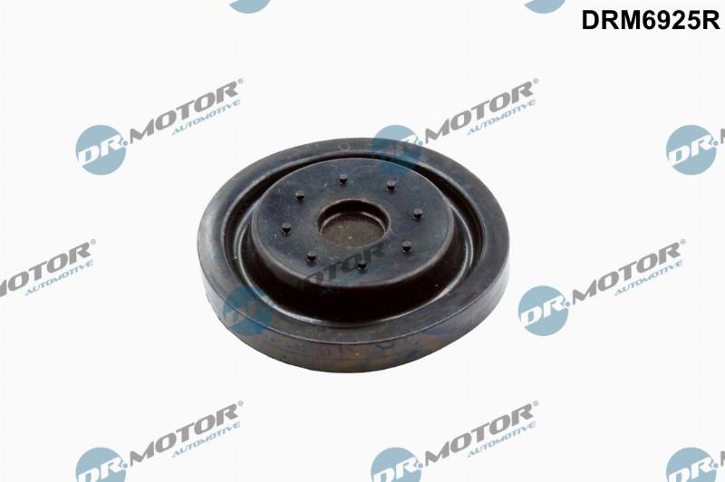 Dr.Motor Automotive DRM6925R - Ремонтный набор, вентиляция картера abcparts.ee