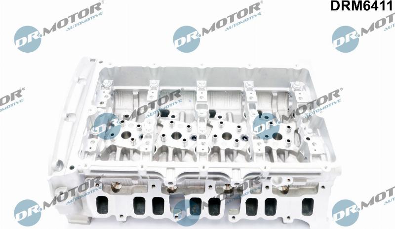 Dr.Motor Automotive DRM6411 - Головка цилиндра abcparts.ee