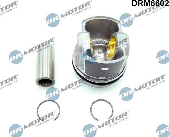 Dr.Motor Automotive DRM6602 - Отдельная часть двигателя abcparts.ee