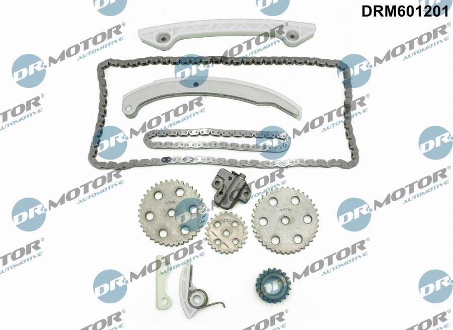 Dr.Motor Automotive DRM601201 - Комплект цепи привода распредвала abcparts.ee