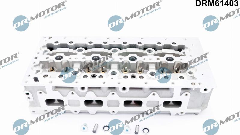 Dr.Motor Automotive DRM61403 - Головка цилиндра abcparts.ee
