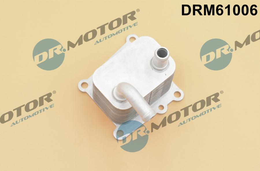 Dr.Motor Automotive DRM61006 - Масляный радиатор, двигательное масло abcparts.ee