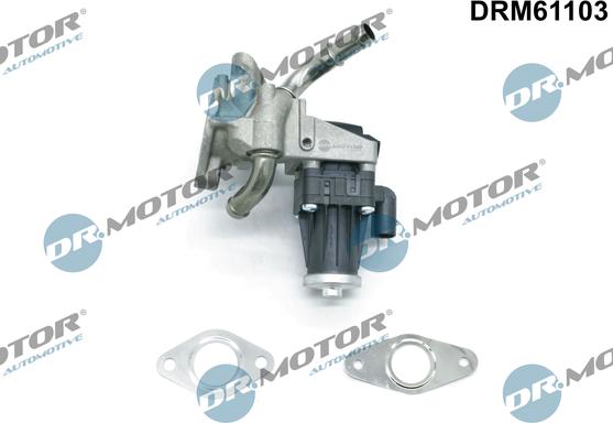 Dr.Motor Automotive DRM61103 - Клапан возврата ОГ abcparts.ee