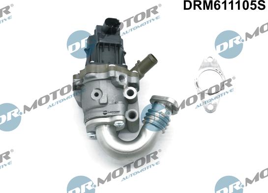 Dr.Motor Automotive DRM611105S - Клапан возврата ОГ abcparts.ee