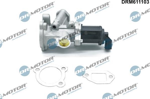 Dr.Motor Automotive DRM611103 - Клапан возврата ОГ abcparts.ee