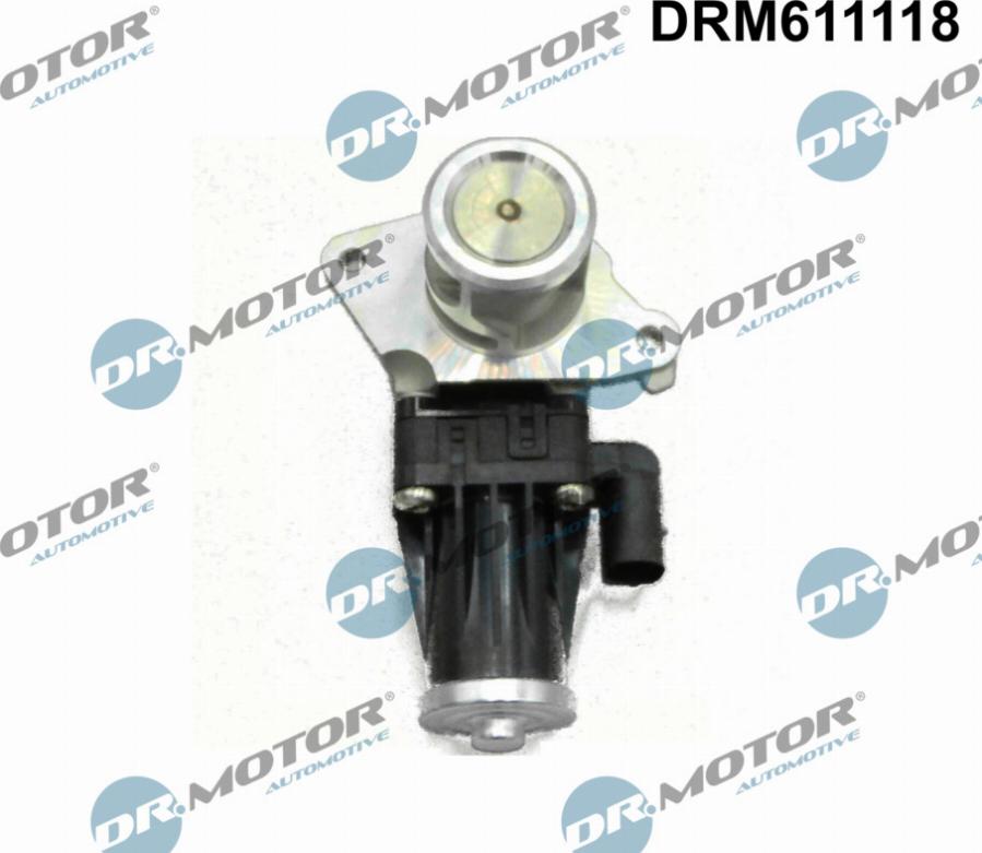 Dr.Motor Automotive DRM611118 - Клапан возврата ОГ abcparts.ee