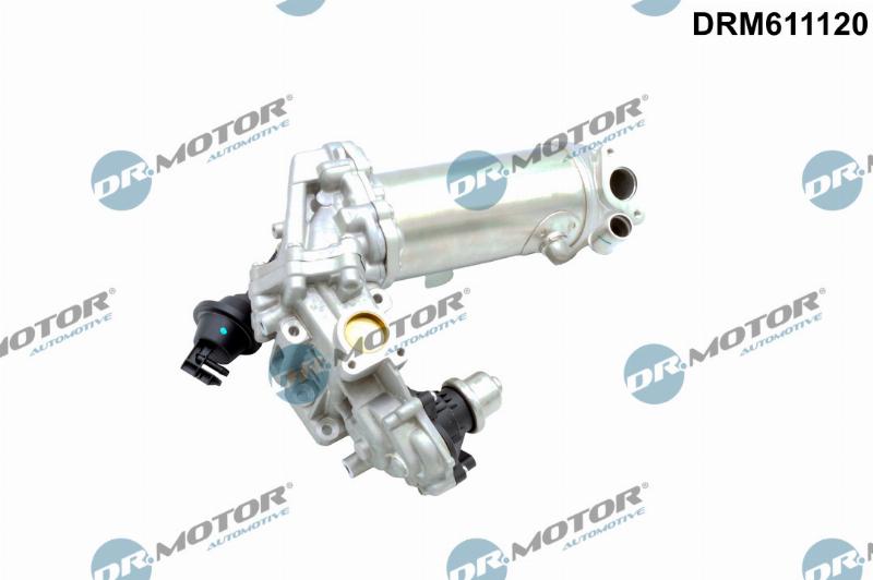 Dr.Motor Automotive DRM611120 - Клапан возврата ОГ abcparts.ee