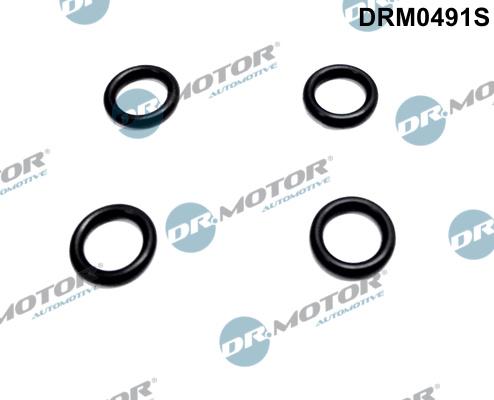 Dr.Motor Automotive DRM0491S - Прокладка, держатель форсунки abcparts.ee