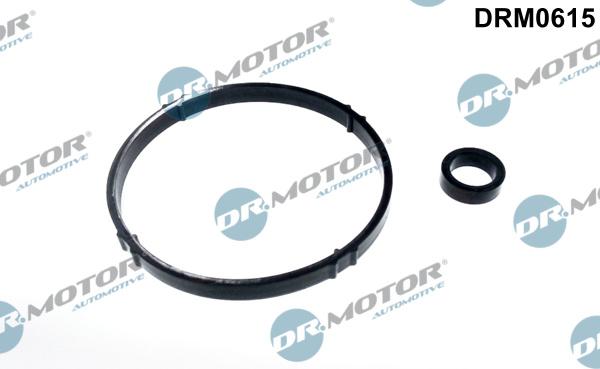 Dr.Motor Automotive DRM0615 - Комплект прокладок, масляный радиатор abcparts.ee