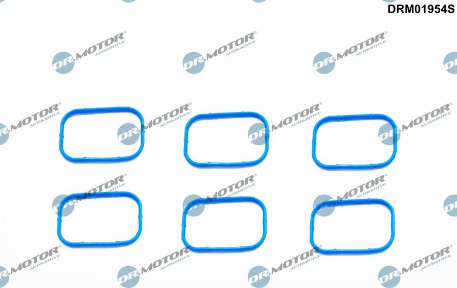 Dr.Motor Automotive DRM01954S - Комплект прокладок, впускной коллектор abcparts.ee