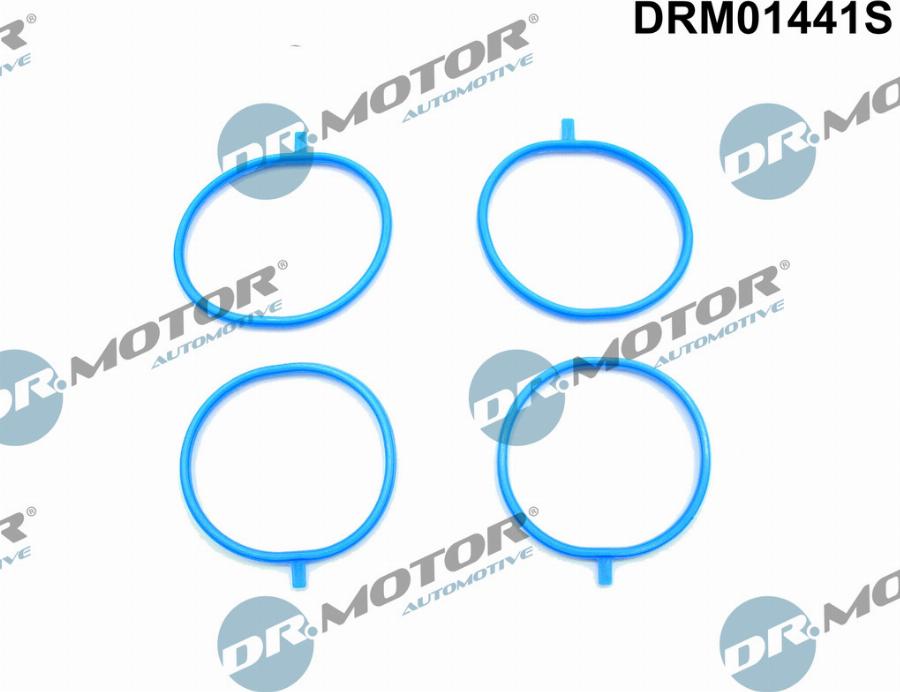 Dr.Motor Automotive DRM01441S - Комплект прокладок, впускной коллектор abcparts.ee