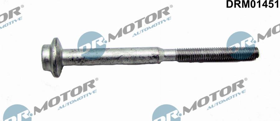 Dr.Motor Automotive DRM01451 - Болт, крепление форсунки abcparts.ee