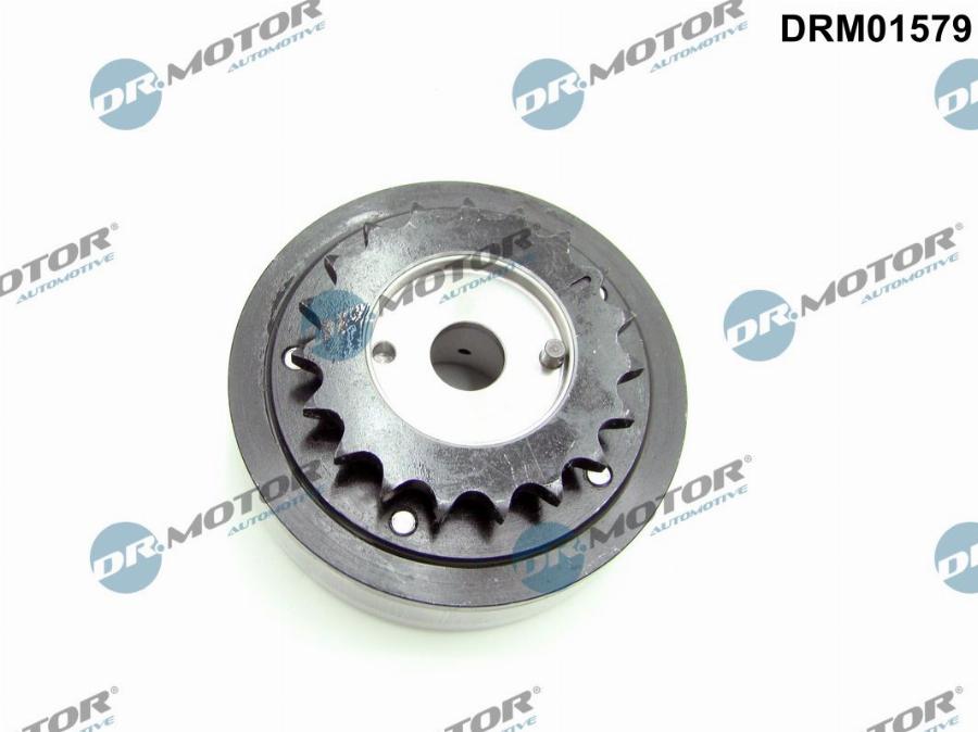 Dr.Motor Automotive DRM01579 - Шестерня привода распределительного вала abcparts.ee