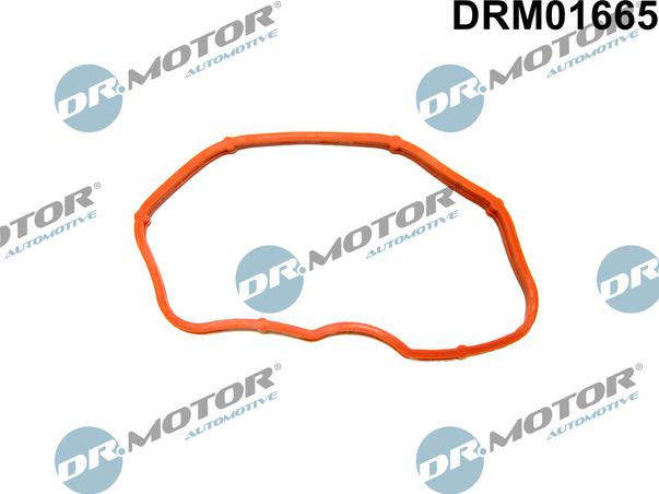 Dr.Motor Automotive DRM01665 - Прокладка, впускной коллектор abcparts.ee