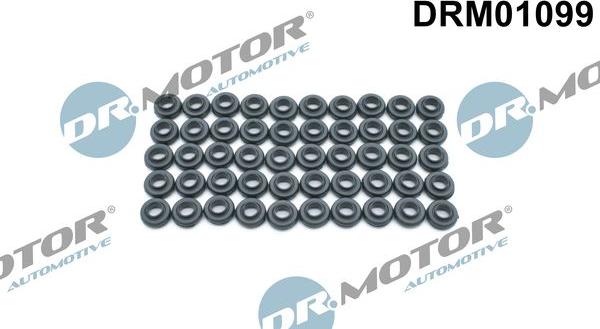Dr.Motor Automotive DRM01099 - Прокладка, болт крышка головки цилиндра abcparts.ee