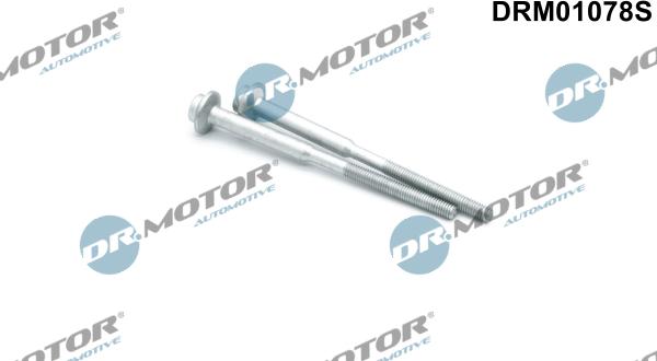 Dr.Motor Automotive DRM01078S - Болт, крепление форсунки abcparts.ee