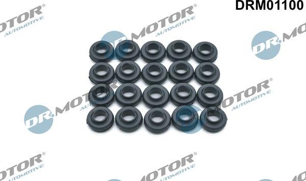 Dr.Motor Automotive DRM01100 - Прокладка, болт крышка головки цилиндра abcparts.ee