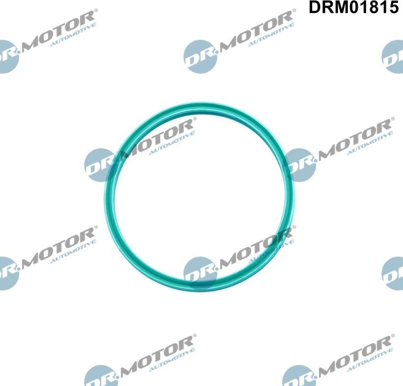 Dr.Motor Automotive DRM01815 - Уплотнительное кольцо, трубка нагнетаемого воздуха abcparts.ee