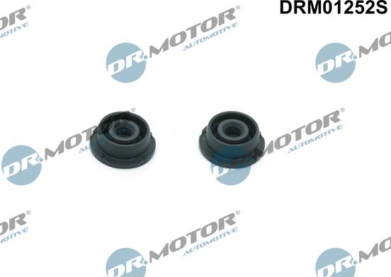 Dr.Motor Automotive DRM01252S - Комплект прокладок, крышка головки цилиндра abcparts.ee