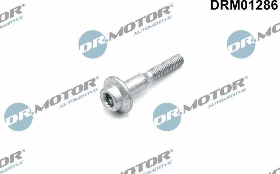 Dr.Motor Automotive DRM01286 - Болт, крепление форсунки abcparts.ee