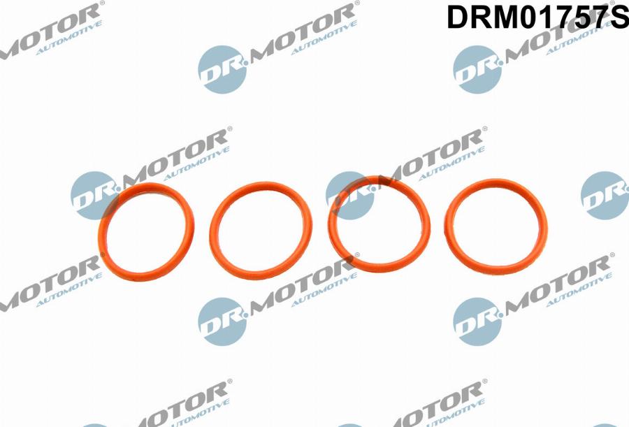 Dr.Motor Automotive DRM01757S - Комплект прокладок, впускной коллектор abcparts.ee