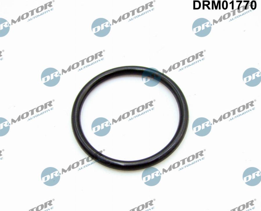 Dr.Motor Automotive DRM01770 - Прокладка, впускной коллектор abcparts.ee