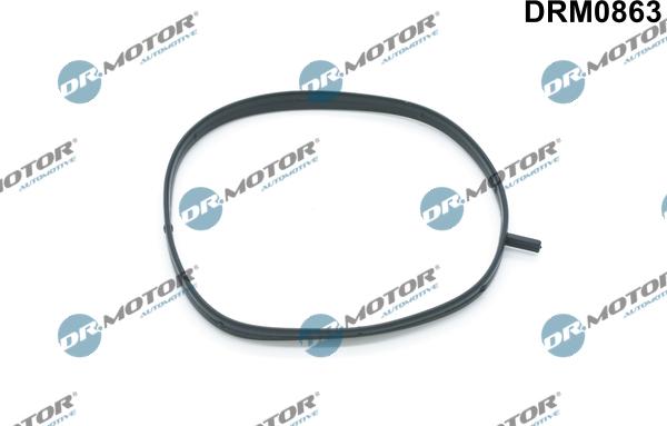 Dr.Motor Automotive DRM0863 - Прокладка, корпус впускного коллектора abcparts.ee