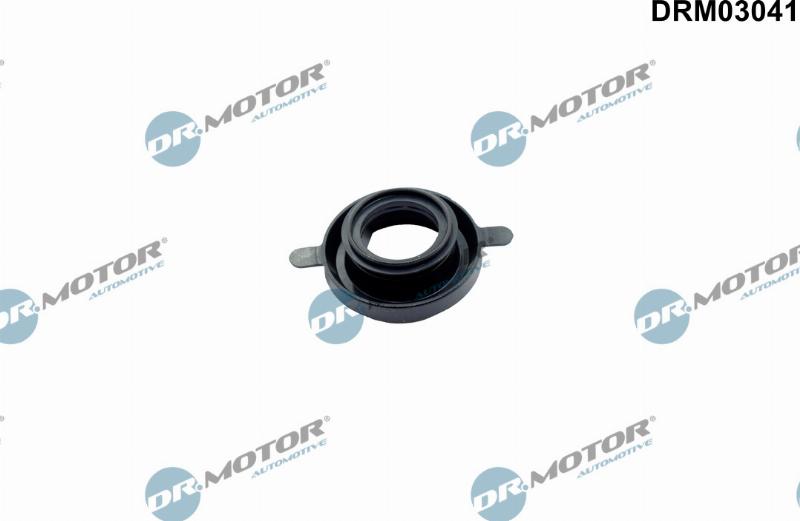 Dr.Motor Automotive DRM03041 - Шайба тепловой защиты, инжектор abcparts.ee