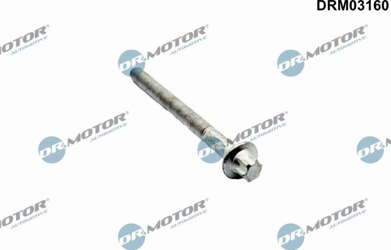 Dr.Motor Automotive DRM03160 - Болт головки цилиндра abcparts.ee