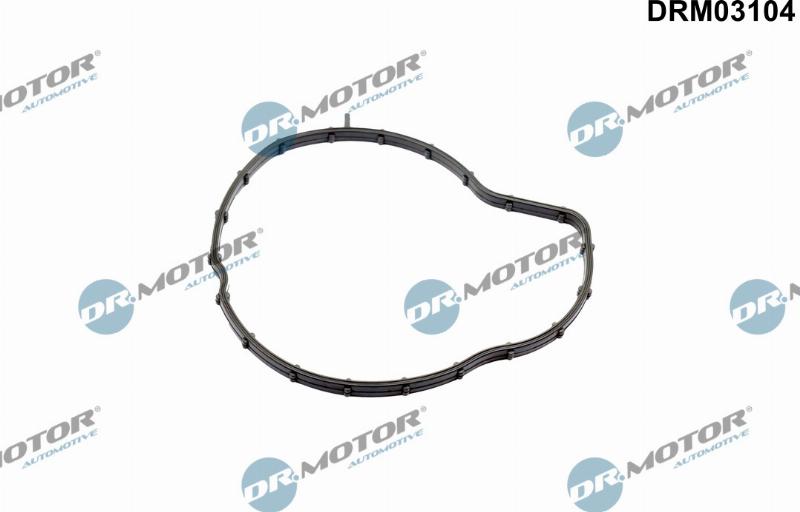 Dr.Motor Automotive DRM03104 - Прокладка, водяной насос abcparts.ee