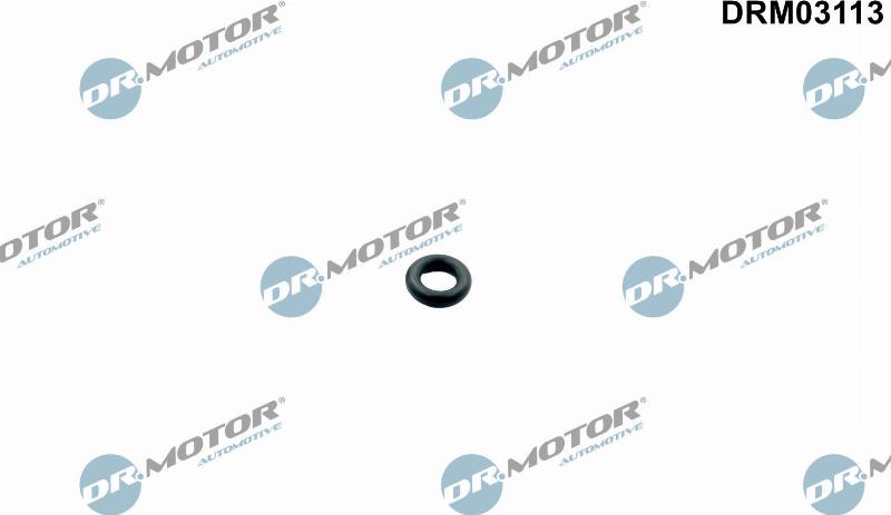 Dr.Motor Automotive DRM03113 - Уплотнительное кольцо, инжектор abcparts.ee