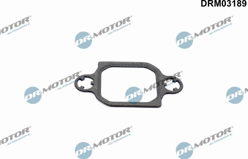 Dr.Motor Automotive DRM03189 - Прокладка, клапан возврата ОГ abcparts.ee