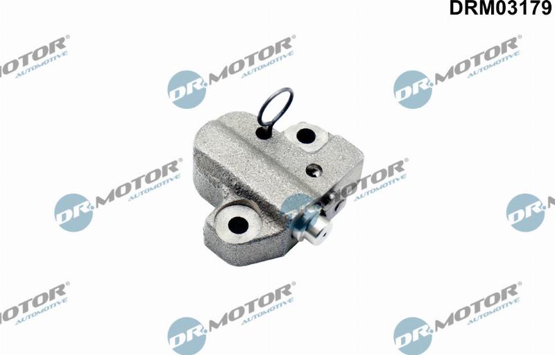 Dr.Motor Automotive DRM03179 - Натяжное устройство цепи, цепь привода распредвала abcparts.ee