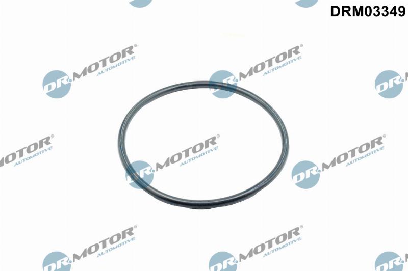 Dr.Motor Automotive DRM03349 - Прокладка, корпус впускного коллектора abcparts.ee