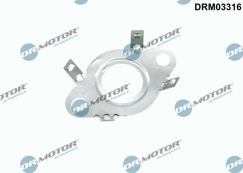 Dr.Motor Automotive DRM03316 - Прокладка, трубка клапана возврата ОГ abcparts.ee