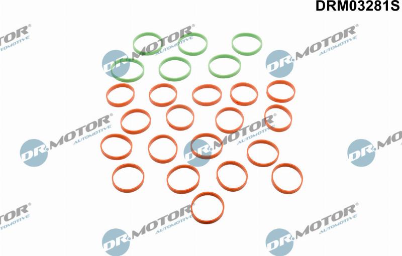 Dr.Motor Automotive DRM03281S - Комплект прокладок, впускной коллектор abcparts.ee