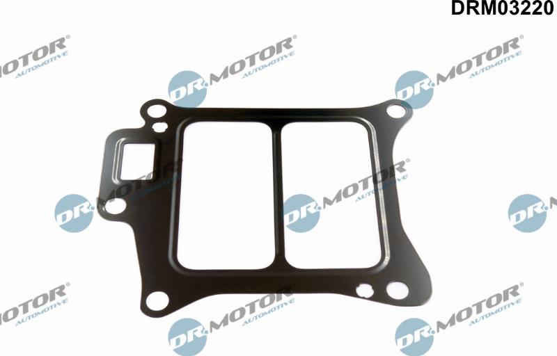 Dr.Motor Automotive DRM03220 - Прокладка, клапан возврата ОГ abcparts.ee