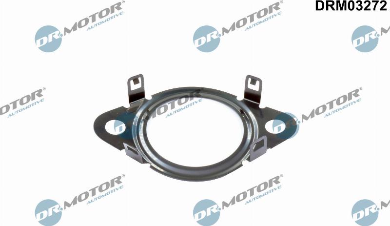 Dr.Motor Automotive DRM03272 - Прокладка, трубка клапана возврата ОГ abcparts.ee