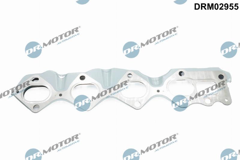 Dr.Motor Automotive DRM02955 - Прокладка, выпускной коллектор abcparts.ee