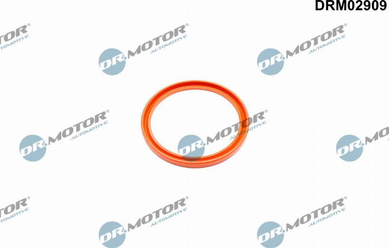 Dr.Motor Automotive DRM02909 - Уплотнительное кольцо, компрессор abcparts.ee