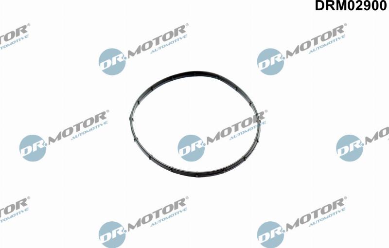 Dr.Motor Automotive DRM02900 - Прокладка, вакуумный насос abcparts.ee