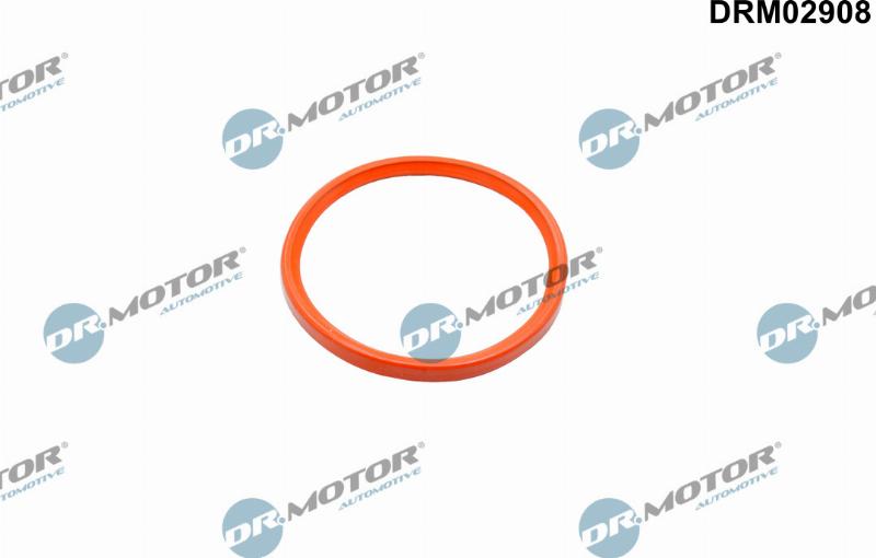 Dr.Motor Automotive DRM02908 - Уплотнительное кольцо, компрессор abcparts.ee
