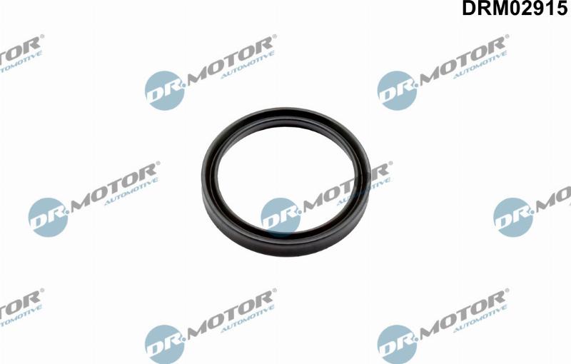 Dr.Motor Automotive DRM02915 - Уплотнительное кольцо, компрессор abcparts.ee