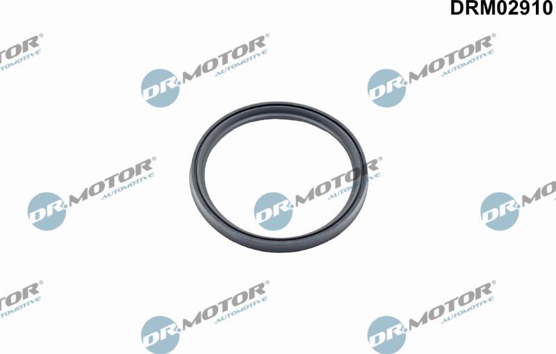 Dr.Motor Automotive DRM02910 - Уплотнительное кольцо, компрессор abcparts.ee