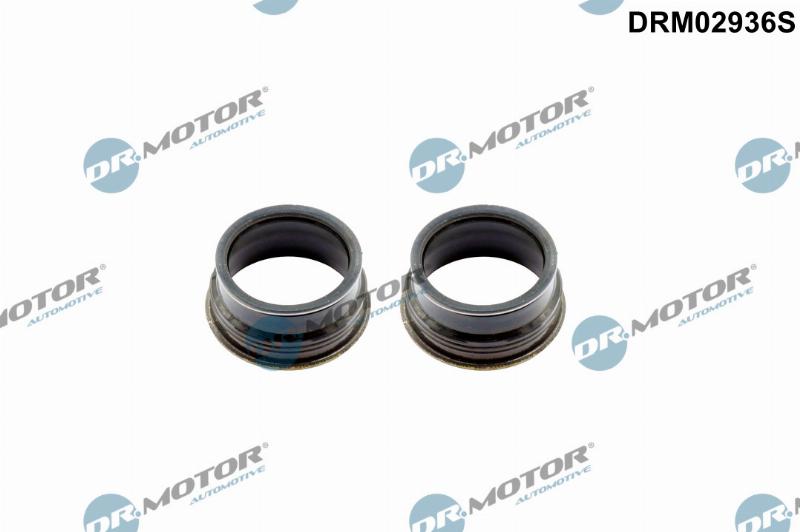 Dr.Motor Automotive DRM02936S - Прокладка, крышка головки цилиндра abcparts.ee
