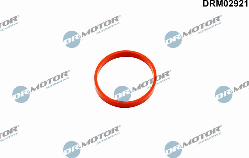 Dr.Motor Automotive DRM02921 - Уплотнительное кольцо, компрессор abcparts.ee