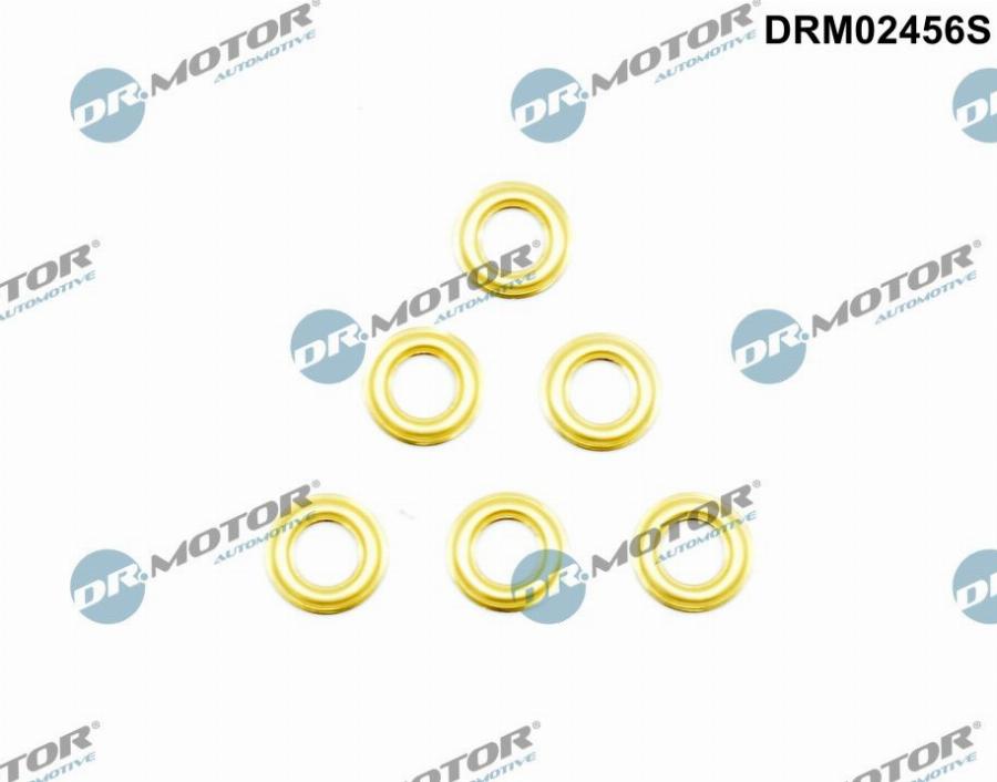 Dr.Motor Automotive DRM02456S - Шайба тепловой защиты, инжектор abcparts.ee