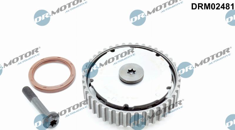 Dr.Motor Automotive DRM02481 - Шестерня привода распределительного вала abcparts.ee