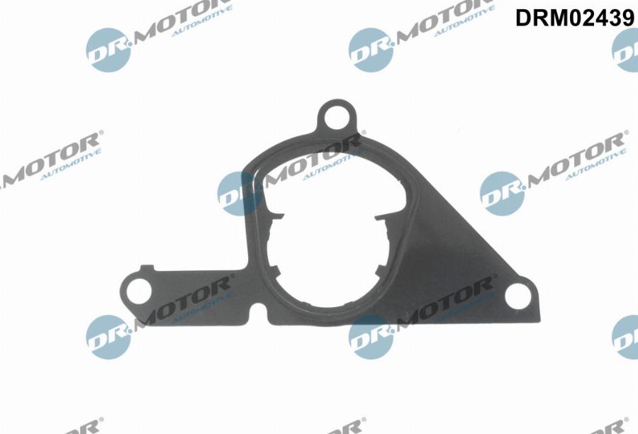 Dr.Motor Automotive DRM02439 - Прокладка, вакуумный насос abcparts.ee